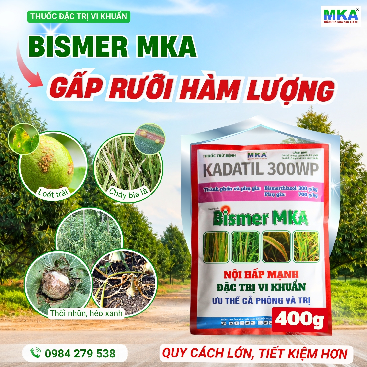 bismer MKA thuốc đặc trị vi khuẩn hoạt chất bismerthiazol